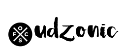 Budzonic - logo